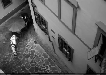 Firenze: cosa è successo, e chi sono i cavalli dei fiaccherai